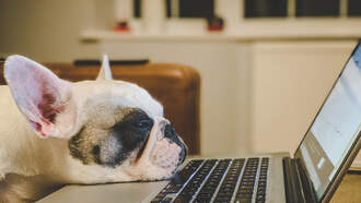 Missed Connections - June 16