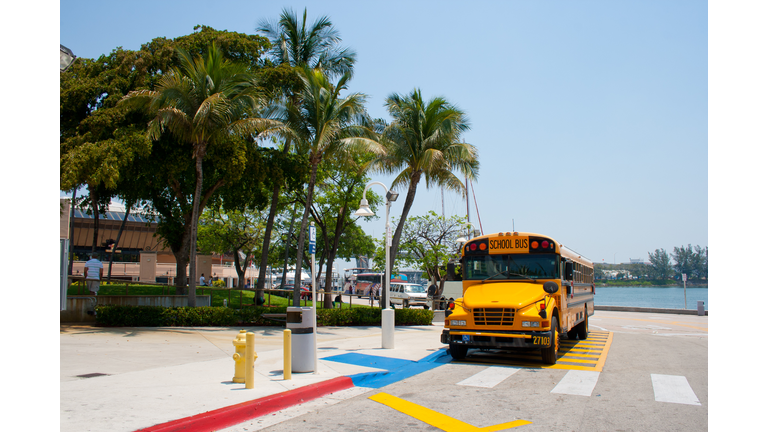 School Bus Miami style