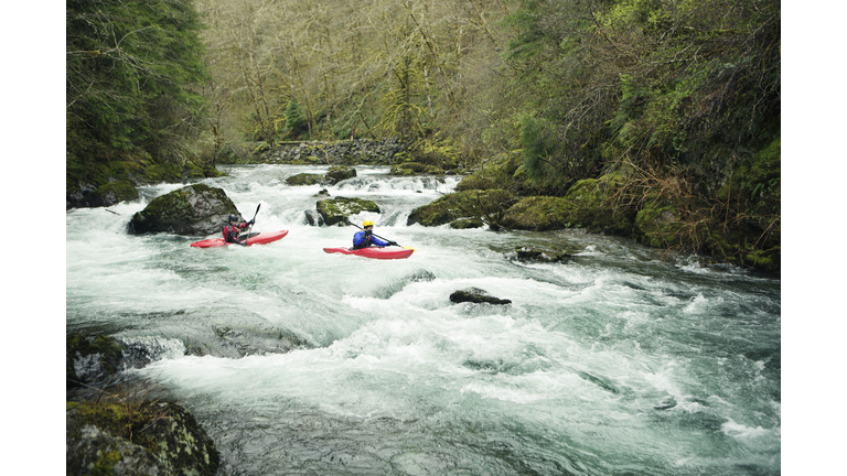 Kayakers paddling through river in forest