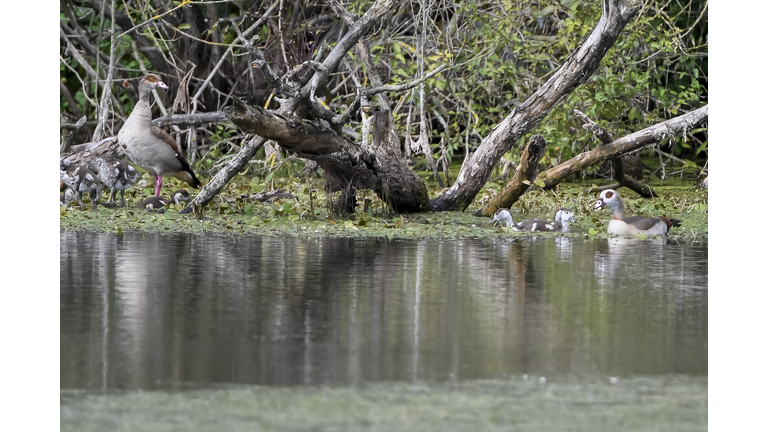 FRANCE-NATURE-ANIMALS