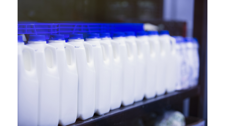 Close up of fresh cartons of milk