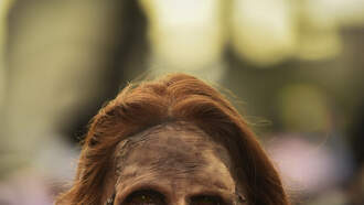 23 years later we get "28 Year Later"