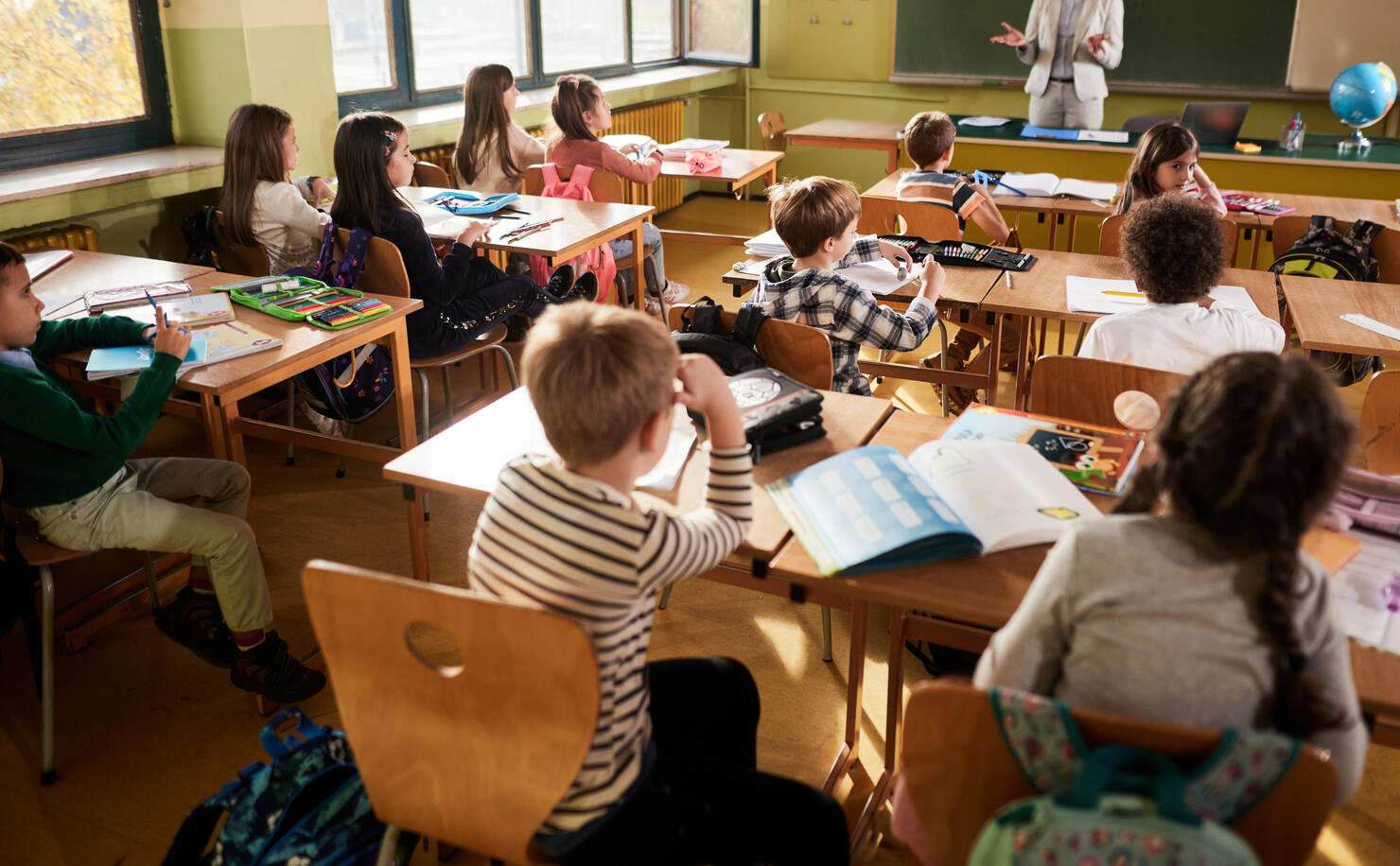 Back view of elementary students having a class in the classroom.