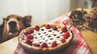 Happy National Chocolate Covered Anything Day!