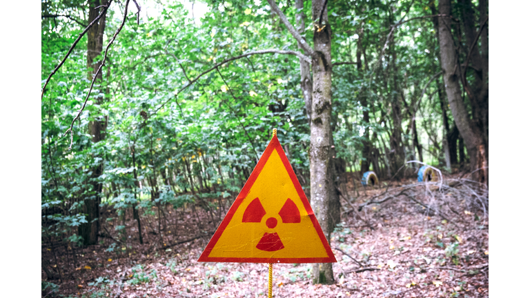 Radiation warning in Chernobyl forest