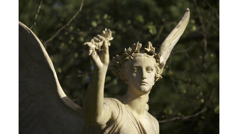 Angels & Miracles / Psychic Perceptions & the Future