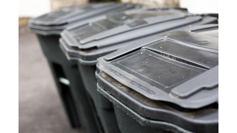 row of residential wheeled trash cans at single family home