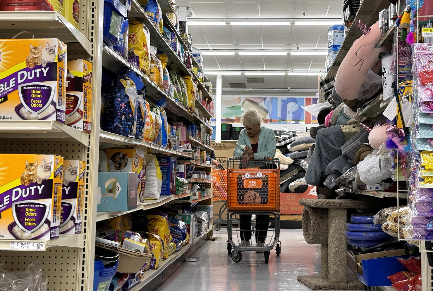 Big Lots Earnings Disapoints Investors, Stock Price Falls