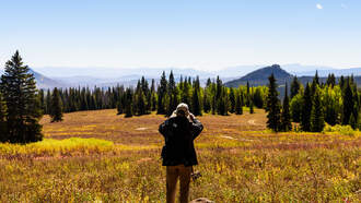 DDG: Michigan Woman Becomes Oldest To Hike Appalachian Trail At 80