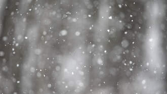 Quad Cities Under Winter Weather Advisory For 2-4 Inches Of Snow