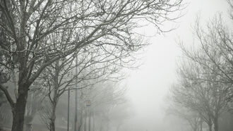 Unusual Fog Blanketing Parts of U.S. Raises Bioweapon Fears