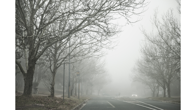 Unusual Fog Blanketing Parts of U.S. Raises Bioweapon Fears