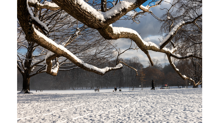 Northeast Sees Snowfall Ahead Of Christmas