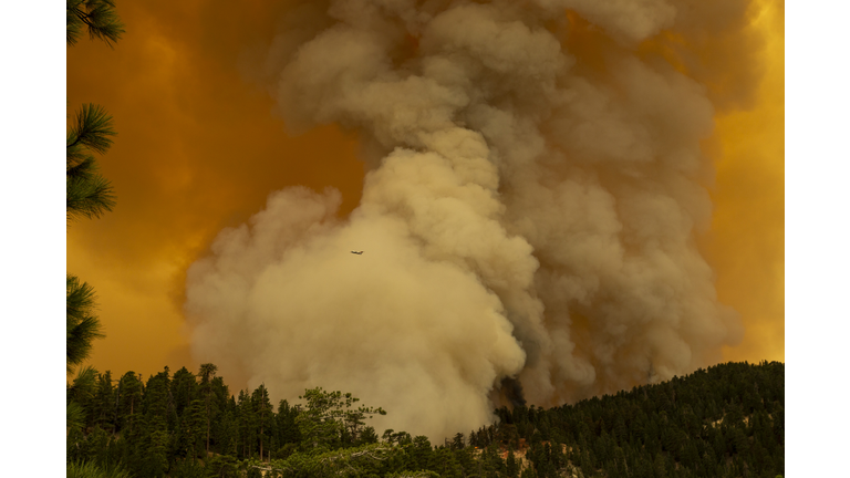 Bobcat Fire Burns East Of Los Angeles