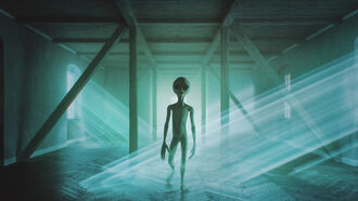 The ET Abduction Experience