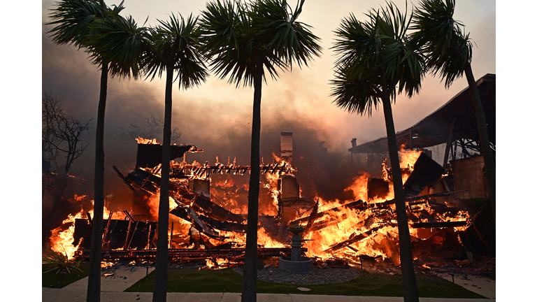 Untouched Trees from LA Wildfires Ignite Conspiracy Theories