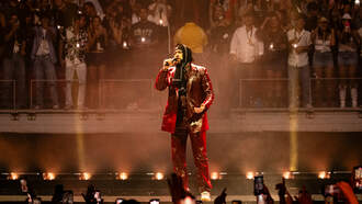 Bad Bunny le dedica 21 conciertos a su tierra 