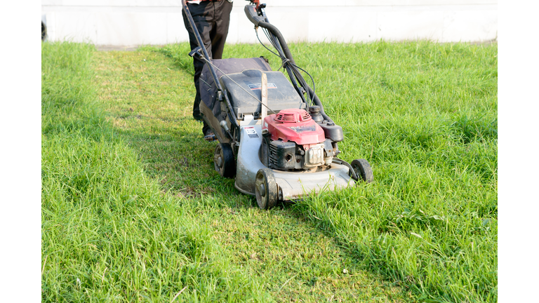 An Electric Rotary lawn mower machine (also named as mower, grass cutter or lawnmower) for Mower, Cutting lawn areas. Heavy duty Motor powered lawn mower in use in  gardens parks for mowing of lawns to cut a grass surface to an even height.