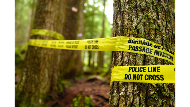 Police line in the forest at a crime scene
