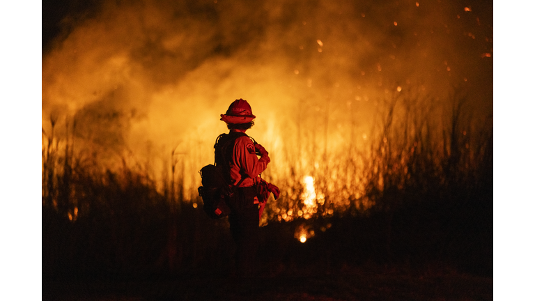 Disaster Preparedness / Weird Tales