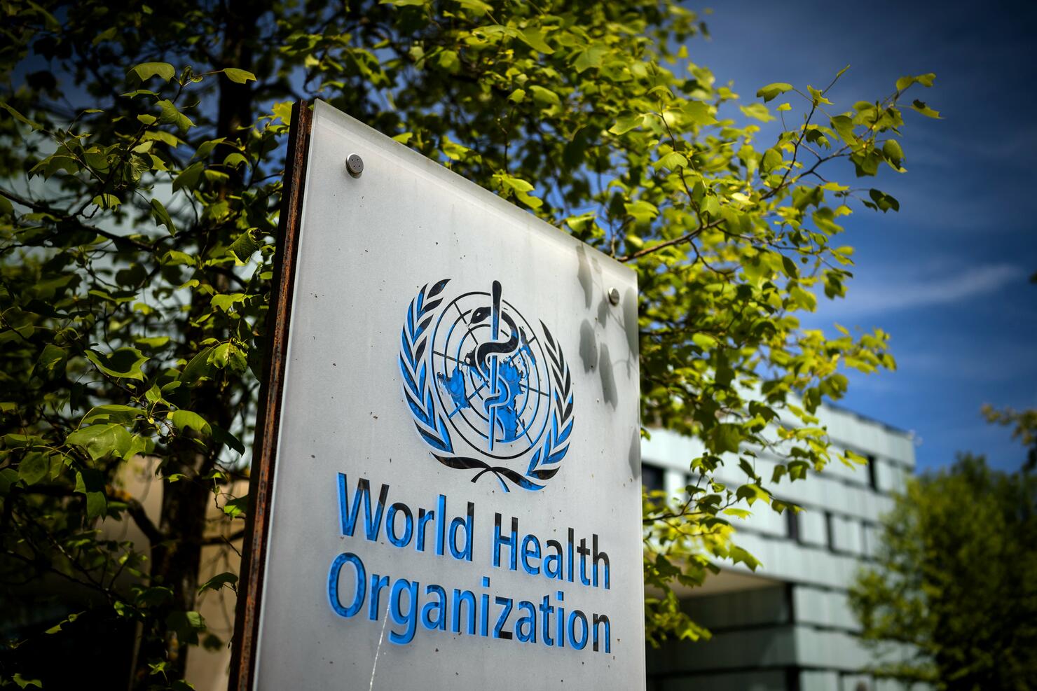 SWITZERLAND-HEALTH-VIRUS-WHO