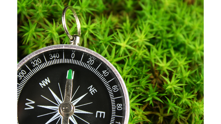 Compass in the moss