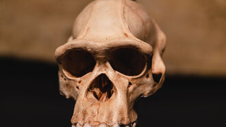 Rewriting Hominid History / Funerals & Technology