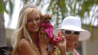 Paris Hilton Helps Reunite Dog With Family After The Altadena Fires 