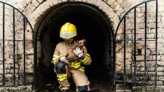In an unusual twist, here's how a firefighter's dog saved his life