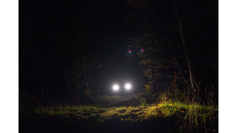 Car headlamp light in night forest
