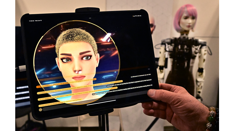 US-TECHNOLOGY-IT-LIFESTYLE-CES