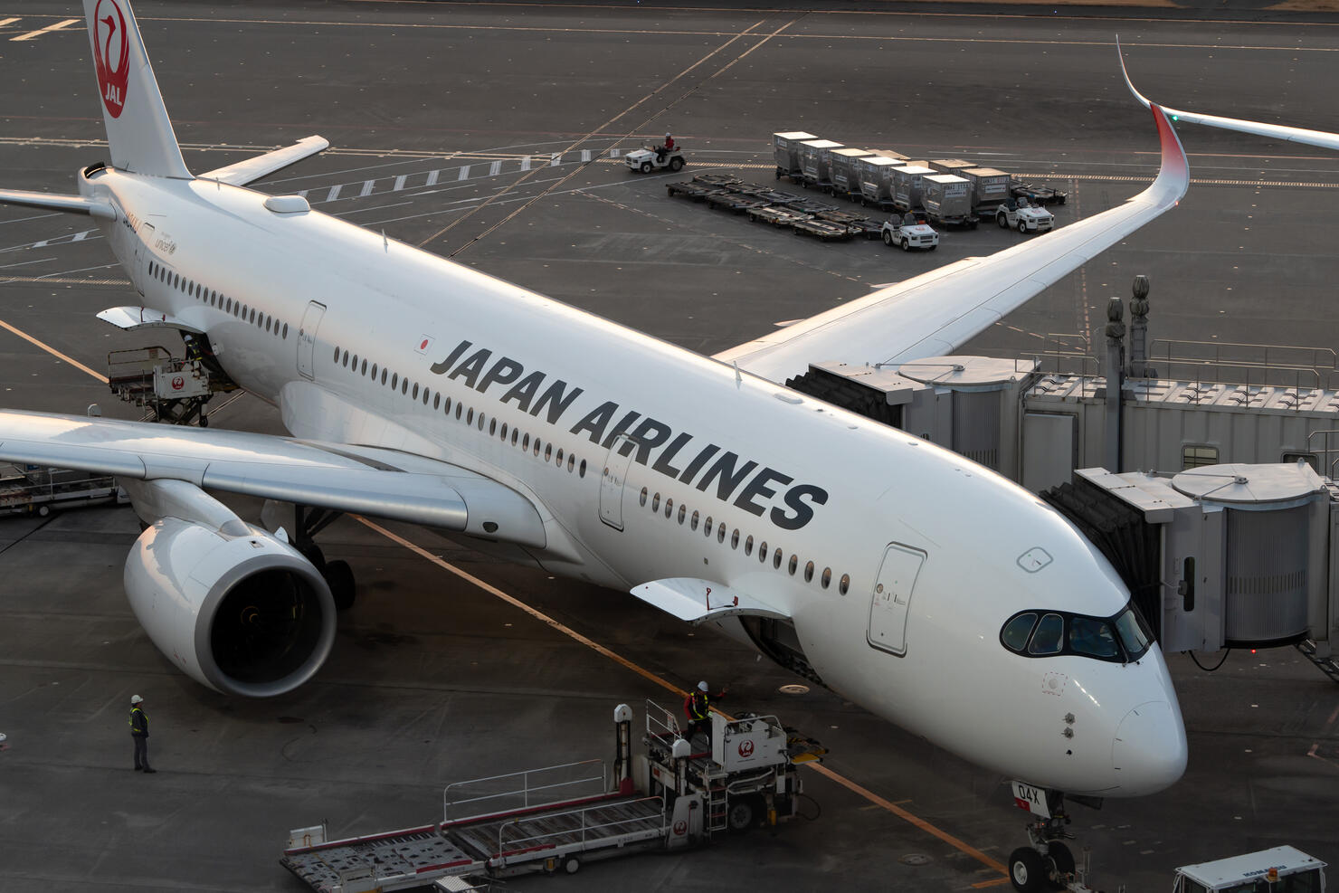 Japan Airlines Suspends Ticket Sales After Cyber Attack