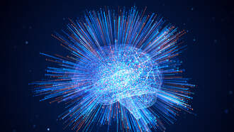 Your Brain = Two-Track Mind (Literally) 🧠👀