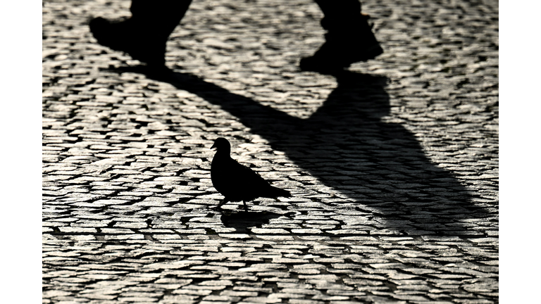 GERMANY-WEATHER-BIRDS-FEATURE