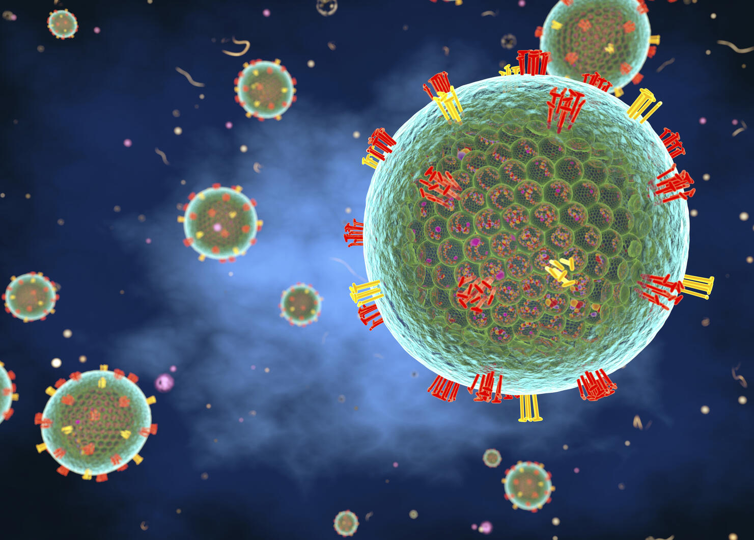 Measles virus, illustration