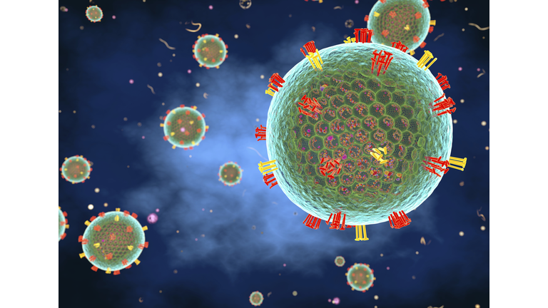 Measles virus, illustration