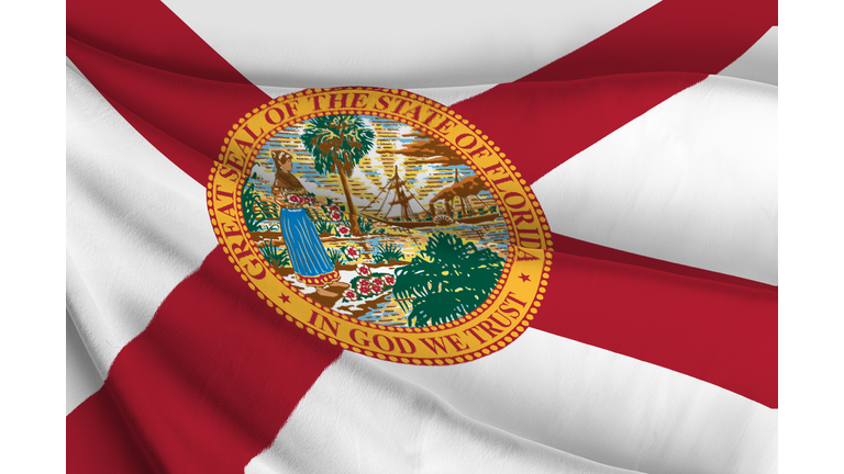 Flag of Florida with State Seal in Detail