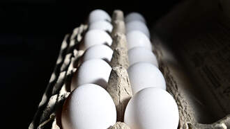 Bronx Deli Sells 'Loosie' Eggs to Bring Down Price