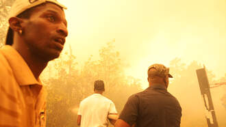 Gov. McMaster declares state of emergency in South Carolina over wildfires