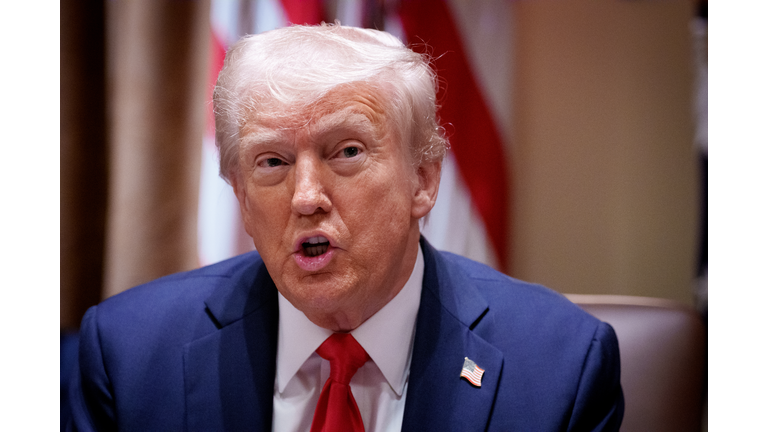 Joined By Elon Musk, Trump Holds First Cabinet Meeting Of His Second Term