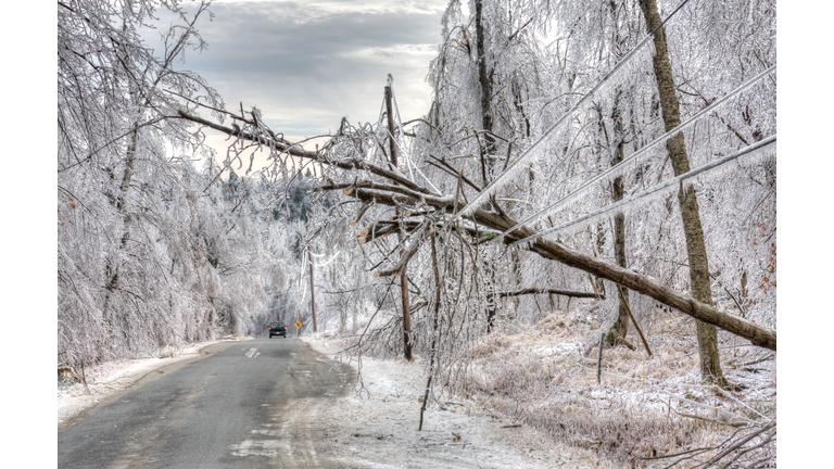 Ice Storm Damage