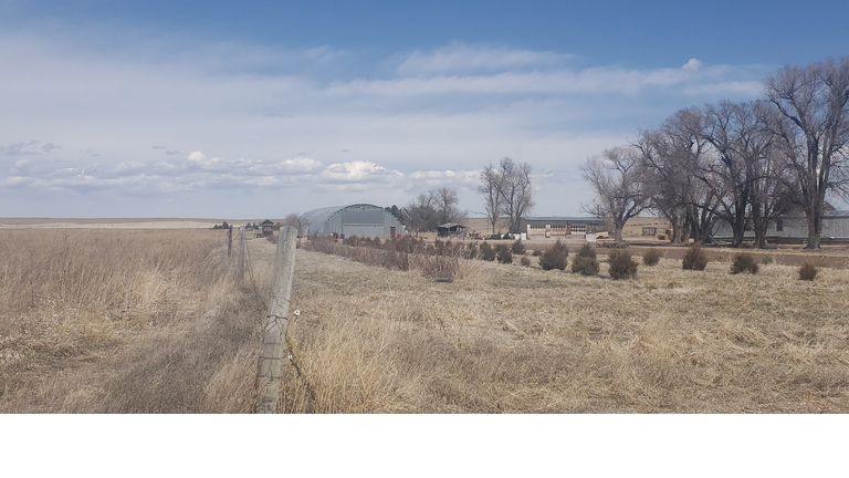 Country Living