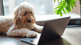 Missed Connections - June 30