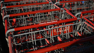 HauerTo: The Best Time to Buy Everything in March