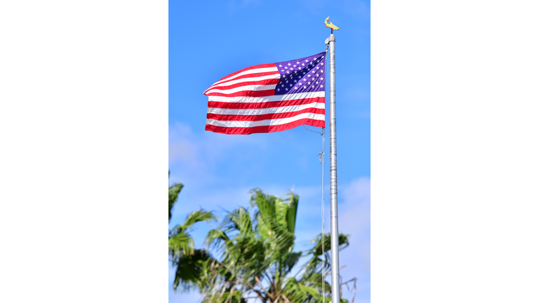 Toyota U.S. Open Swimming - Sarasota