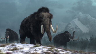 Woolly Mice Could Pave Way for Mammoth De-Extinction