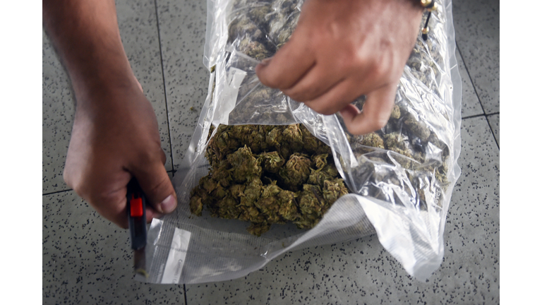 COLOMBIA-MARIJUANA-SEIZURE