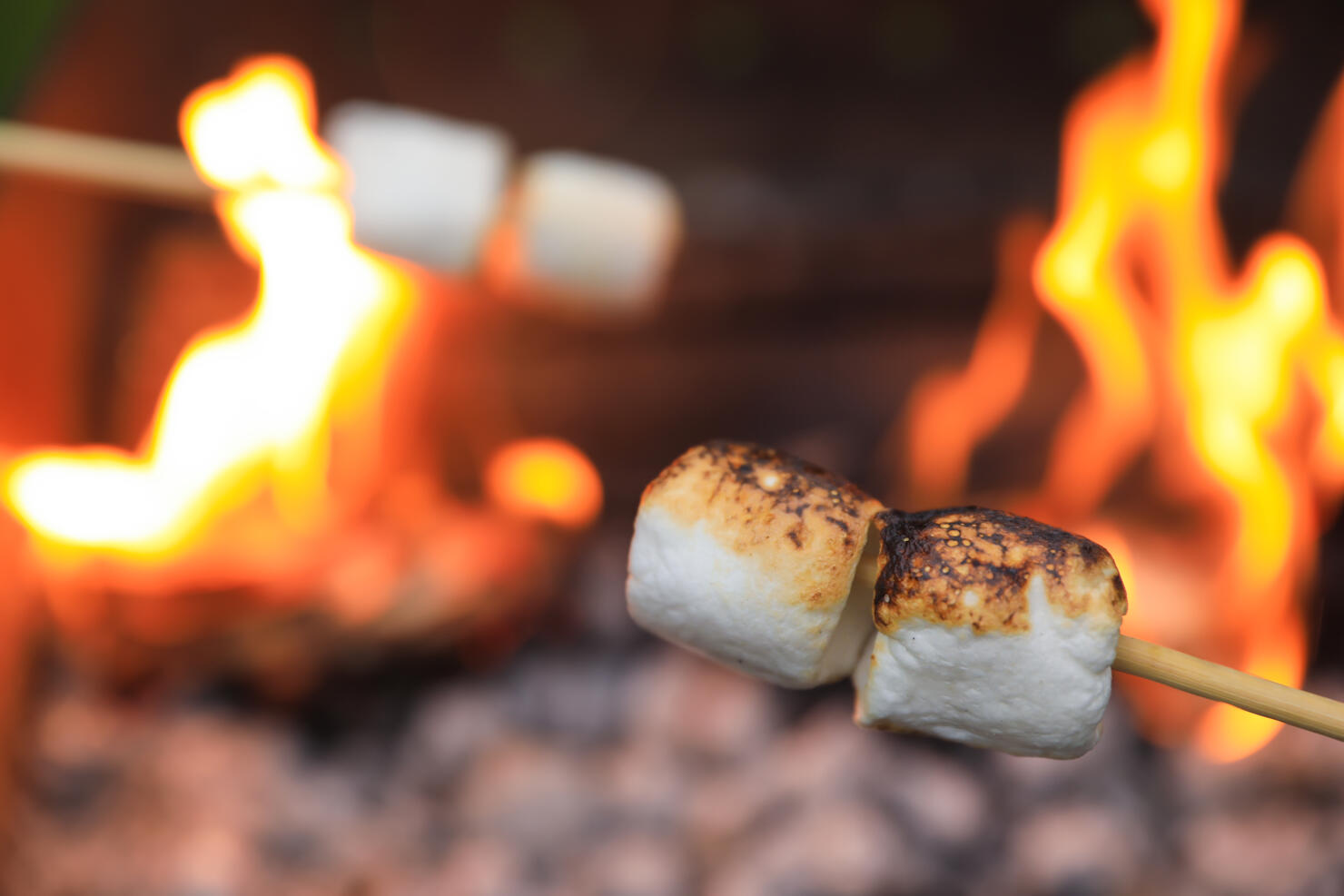 Delicious puffy marshmallows roasting over bonfire, closeup. Space for text