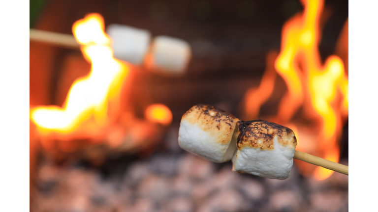 Delicious puffy marshmallows roasting over bonfire, closeup. Space for text