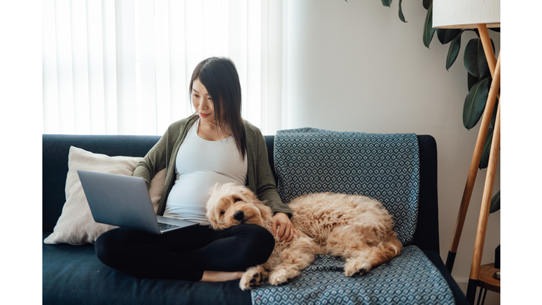 Pregnant woman using computer while sitting on sofa with her dog